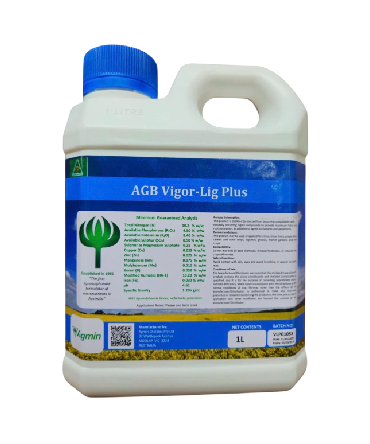 SP SỐ 6: AGB VIGOR-LIG PLUS
