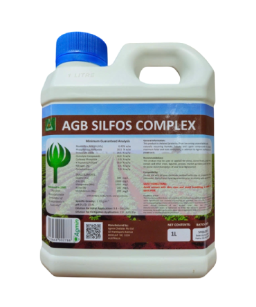 SP SỐ 5: AGB SILFOS Complex